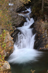 Obraz premium waterfall in the forest