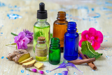Essential oils and herbs arranged on a table