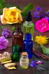 Vibrant display of herbs and oils