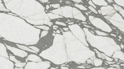 Full-frame 2D arabescato corchia marble slab with tightly packed dark veins and smooth polish.