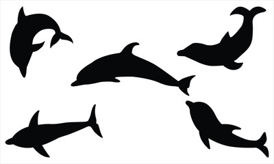 silhouettes of dolphins