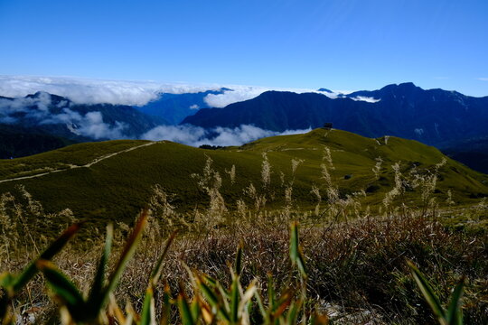 landscape in the mountains