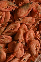 Fresh boiled shrimps stacked together on a seafood market. Close-up texture of orange crustaceans — symbol of gourmet cuisine, fishing harvest, and marine food industry.