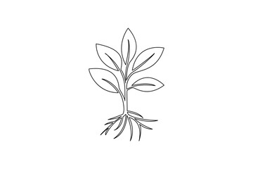 Plant growth process minimalist continuous one line art