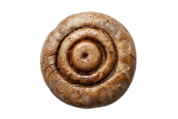 Fototapeta premium Single Roasted Mushroom Top View Closeup Detail