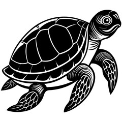 turtle vector illustration
