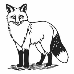 fox on white background