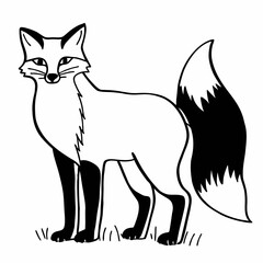 Obraz premium fox on white background