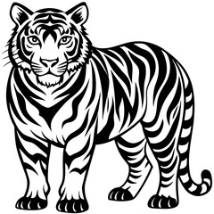 tiger vector illustration