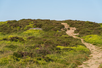 North Yorkshire landscape near Great Broughton, England, UK