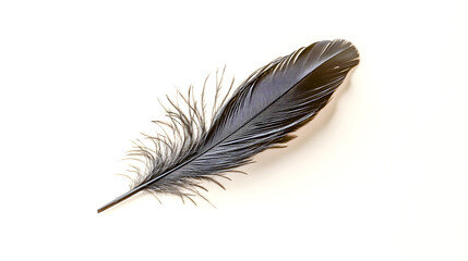 Minimalist Shot of a Black Feather Placed Delicately