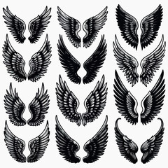 Fototapeta premium Collection of Diverse Wing Silhouettes
