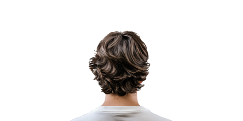 Back view of brown hair with wavy style isolated on transparent background