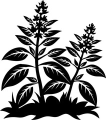 black silhouette of tall flowering plant with detailed leaves on white background botanical illustration with intricate plant design