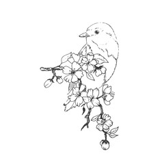 Vector illustration of a bird sitting on the cherry branch. Outline drawn. decorative elements