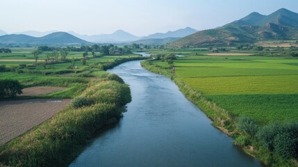 Serene river winding through lush farmland