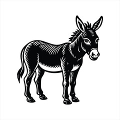 vector illustration of a Donkey