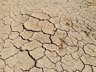 cracked earth background