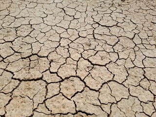 cracked earth texture