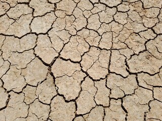 Fototapeta premium dry cracked soil