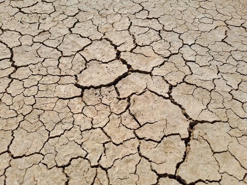 cracked earth background
