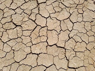 dry cracked earth