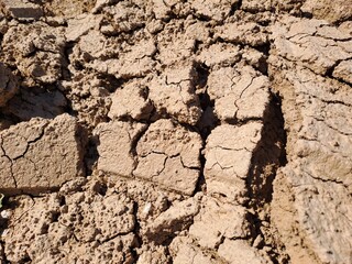 dry cracked earth