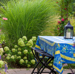 A beautiful French tablecloth perfectly matches the little lime hydrangeas surrounding this patio along with the privacy screen of miscanthus sinensis, Morning Light
