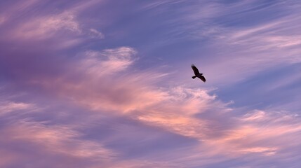 Obraz premium Radiant Bird in Flight Across Azure Sky – Cinematic Morning Visual for Eco-Tourism and Digital Wellness Campaigns