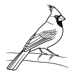 Stylized Cardinal Bird Vector Illustration