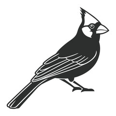 Detailed Cardinal Wings Vector Illustration