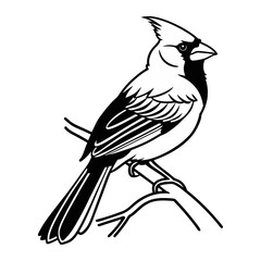 Stylized Cardinal Bird Vector Illustration