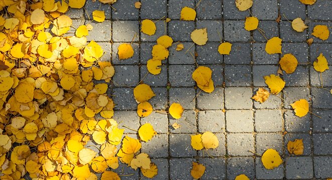 Autumn's Embrace A Tapestry of Falling Leaves on Stone