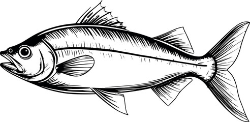 Sardine fish engraving in minimal vintage style isolated on white