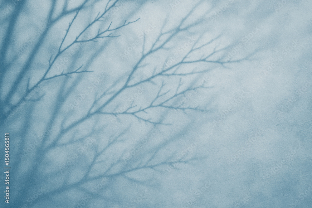 Poster photo of shadows of tree branches creating an abstract pattern on a wall