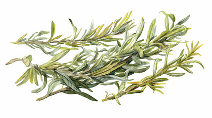 Fototapeta premium Dried Rosemary Sprigs – Aromatic Herb for Culinary and Medicinal Use on White Background