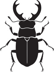 stag beetle isolated on white background