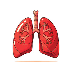 Lung human anatomy biology organ body system health care and medical hand drawn cartoon vector art illustration