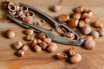 Whole raw hazelnuts with a nutcracker on a wooden background.