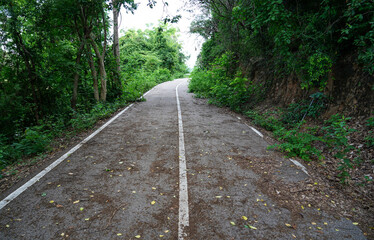 Empty curved concrete roadway winds through a green nature park with trees and plants in the forest, national park view at Kaeng Krachan Dam, Phetchaburi Province,Thailand.