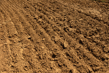 Close-up of freshly plowed farmland with rich brown soil and defined furrows, ready for planting....