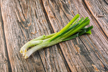 Young fresh juicy green onion