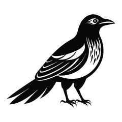 Obraz premium Bird icon, silhouette, black and white logo on white background