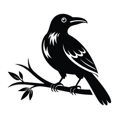 Fototapeta premium toucan silhouette vector illustration