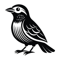 Fototapeta premium Bird icon, silhouette, black and white logo on white background