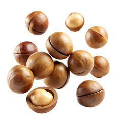 Macadamia nuts falling isolated on a white background png
