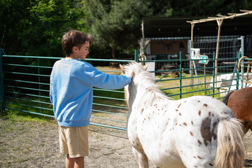 Child enjoying a sunny day petting a pony in a farm