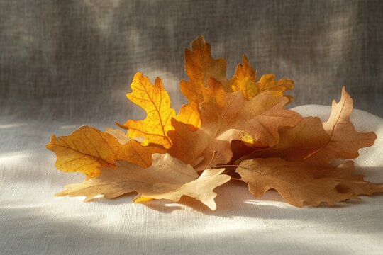 A cluster of golden autumn oak leaves beautifully illuminated by sunlight rests on a soft, textured linen background. - Powered by Adobe