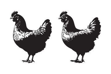 Elegant hen silhouette vector illustration