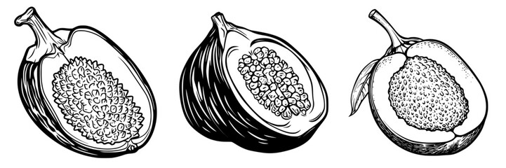 Obraz premium Icon set of tropical fruit cut in half showcasing seeds and texture in a detailed black and white style